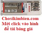 Mũi khoan Inox Bosch M10