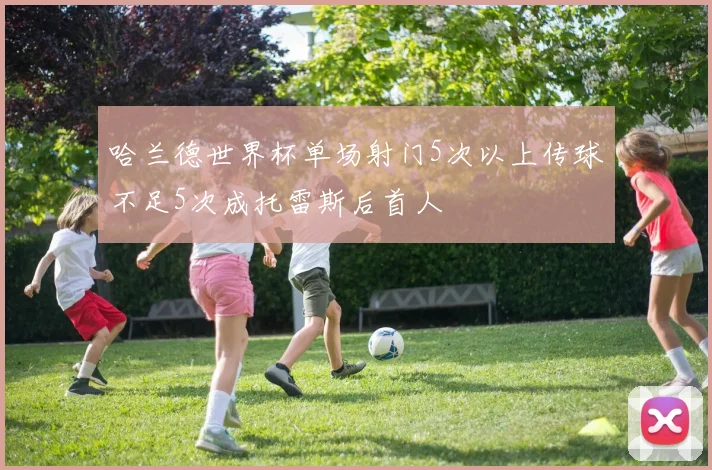 哈兰德世界杯单场射门5次以上传球不足5次成托雷斯后首人